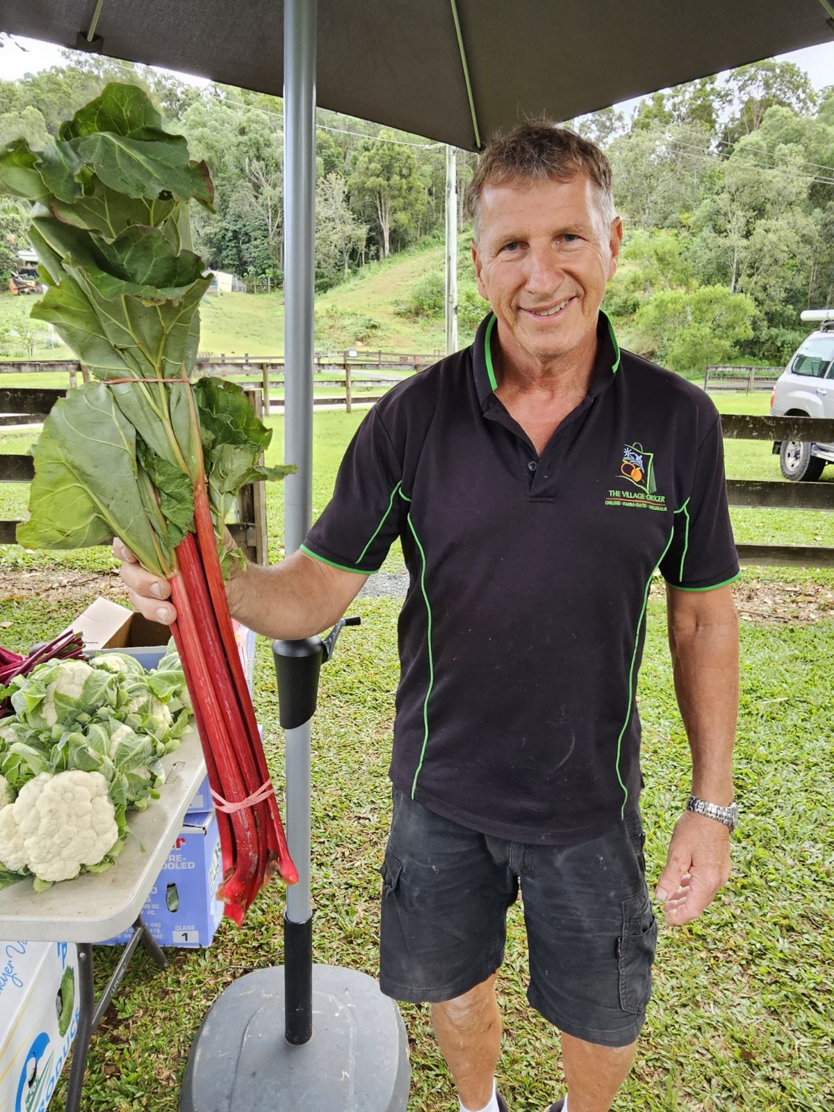 Large Locally Grown Rhubarb-The Village Grocer Club