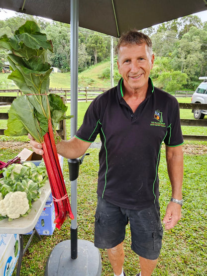 Large Locally Grown Rhubarb-The Village Grocer Club